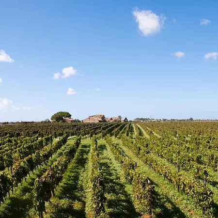 Villa Dimora Del Piano - Wine Relais