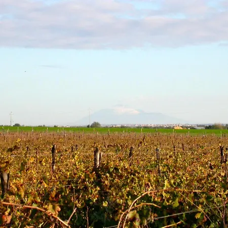 Villa Dimora Del Piano - Wine Relais *